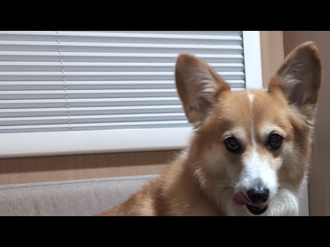 【代打】キアヌの中から2025/8/2