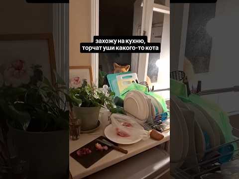 торчат уши дикого кота