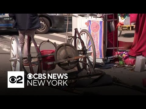 Carriage horse union suggests stray voltage may have triggered deadly crash