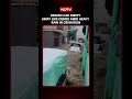 Heavy Rain Turns Dehradun Roads Into Lakes, Cars Swept Away By Strong Current