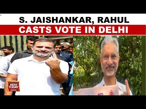 Delhi Elections 2025: Rahul Gandhi, S. Jaishankar Casts Vote In Delhi, AAP Leaders At Polling Booths