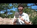 We tested 12 hiking sandals. These 2 are the best for hikes, river crossings and more  - 03:16 min - News - Video