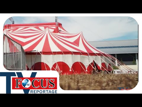 Zirkusleben hautnah - Wie ist es im Zirkus zu leben? | FocusTV Reportage