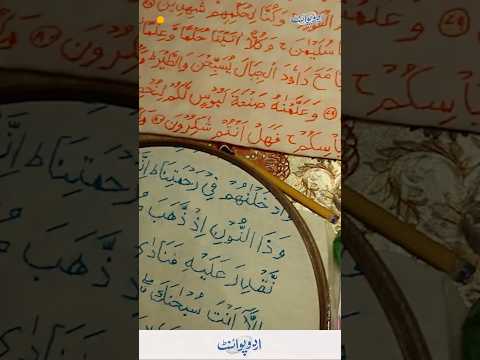 Hafizabad: A Woman's Unique Love For The Holy Quran - Embroiders The Entire Quran On Cloth