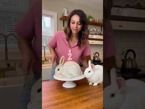 🤣She Cuts a Rabbit 🍰 and the Real Rabbit Freaks Out! | 'Calma, é só bolo!Real Rabbit 🐰 Freaks Out!🤣