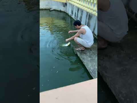 Câu cá tại nhà #family #gia_đình #funny