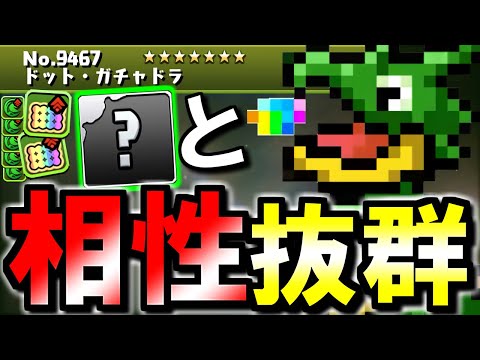 【○○所持者にオススメ】ガチャドラに新たな種類&進化形態が登場!!特にドット・ガチャドラはあのキャラの強さを引き立てる優秀な性能!!～パズドラ大感謝祭【12月】～【パズドラ】