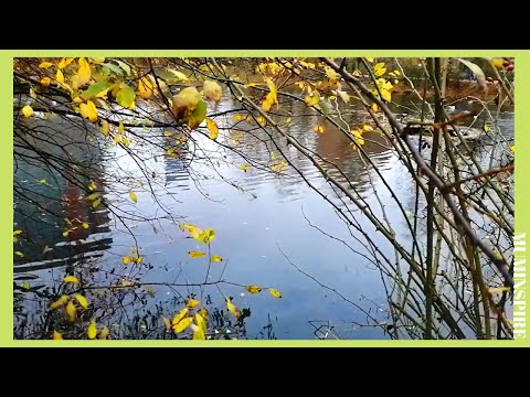RELAX WITH NATURE ~ BEAUTIFUL LAKE ~ CALMING, SOOTHING AND RELAXING NATURE SOUNDS AND VIEWS