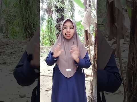 tungtungsahur pamit #funny #comedy #shorts