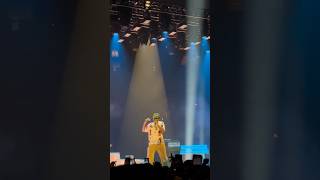 Tyler, The Creator - LUMBERJACK - Live in Vancouver, February 2025 #tylerthecreator #concert