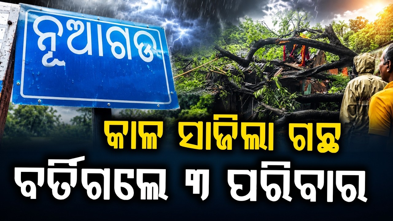 Gajapati: 3 Families Narrowly Escape As Tree Falls On Houses Due To Heavy Rain | Argus News
