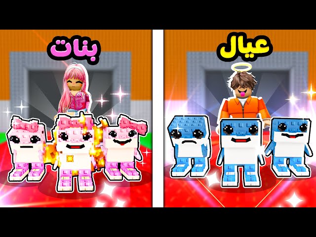 روبلوكس حرب البنات ضد العيال ! Steal A Brainrot
