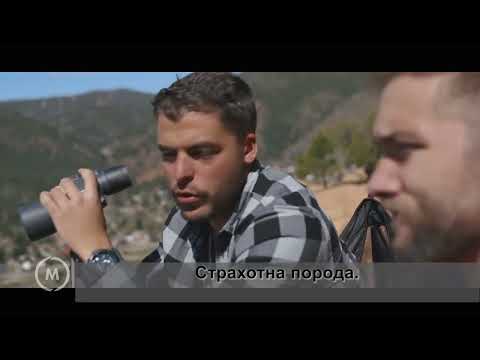 Книгата да убиеш криптонит - урок 7 - Истина, толерантност и любов