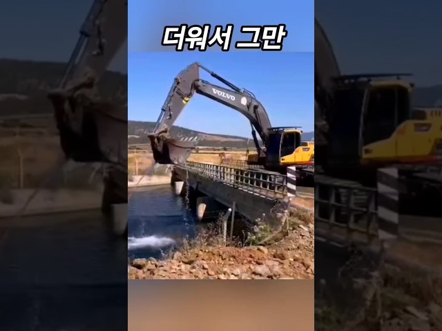 다리를 지나가다 충격적인 행동
