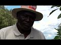 Kenyan farmers turn to avocados as demand soars  - 02:20 min - News - Video