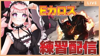【Eカロス】🌸ソロ討伐！練習配信🐾 #メイプルストーリー #vtuber