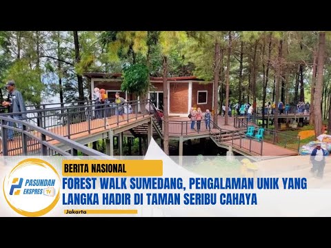 Forest Walk Sumedang, Pengalaman Unik yang Langka Hadir di Taman Seribu Cahaya