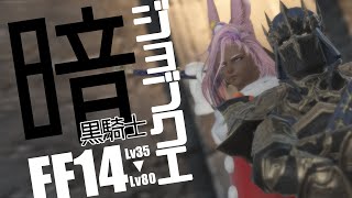𝔽𝔽𝟙𝟜 | 暗黒騎士ジョブクエ | Lv35-Lv80【FF14 静凛/にじさんじ】