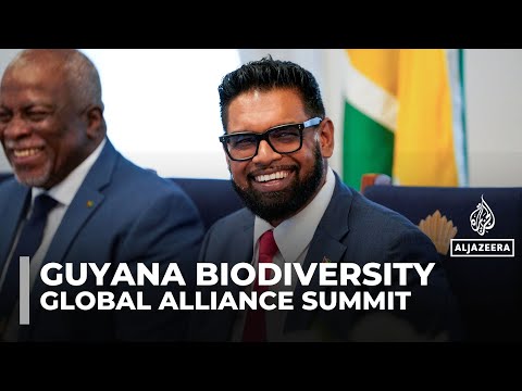 Global Biodiversity Alliance Summit: Guyana hosts regional leaders for environmental talks