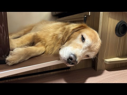 久しぶり深夜に雑談ライブ配信