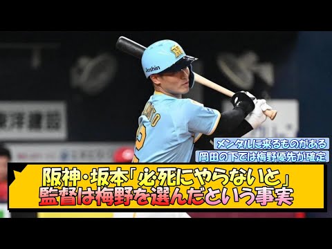 阪神・坂本「必死にやらないと」監督は梅野を選んだという事実【なんJ/2ch/5ch/ネット 反応 まとめ/阪神タイガース/岡田監督】