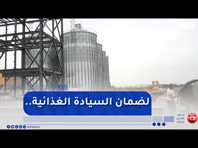 مراكز تخزين الحبوب ترفع التحدي لضمان استيعاب وفرة المحاصيل