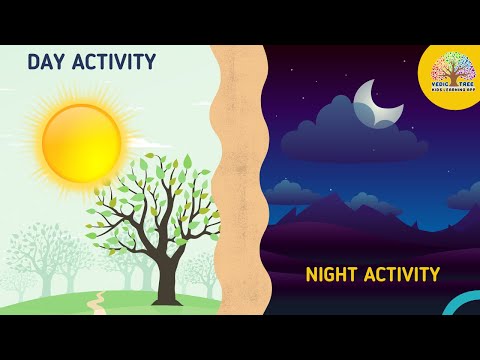 Vedic Tree | Senior KG | Day & Night Activity