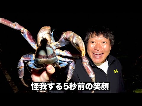 【絶滅危惧種】ヤシガニ探しに出かけたら指を〇〇されました…