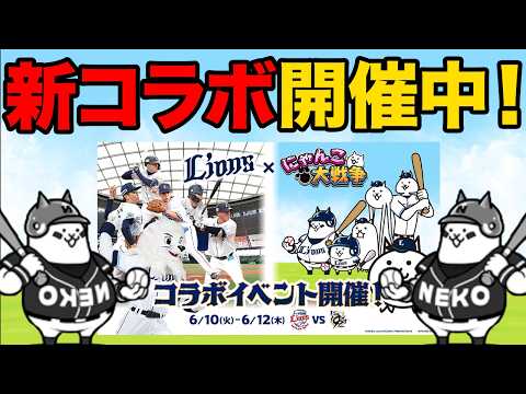 猫の動画サムネイル - プロ野球の西武ライオンズとコラボ開催中！？公式公認のゴミガチャ開催中！？99%が知らないにゃんこ大戦争の豆知識が面白すぎた！！【ショートまとめ30選】　にゃんこ大戦争