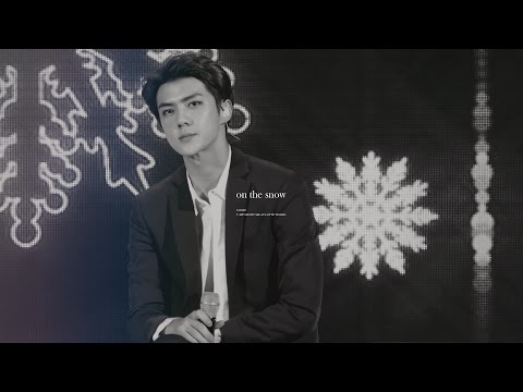151210 발자국 On the snow