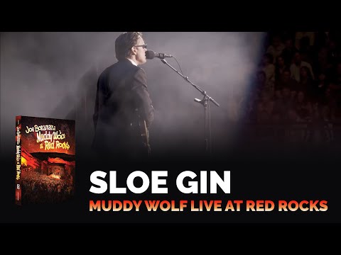 Sloe Gin (Live)