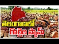 LIVE : Sheep Scam in Telangana | ప్రజాధనాన్ని అడ్డంగా దోచేశారు-కాగ్ నివేదిక | 10TV News