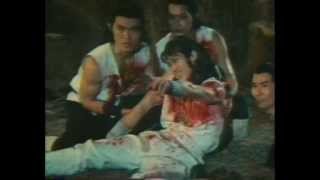 Click to View : Chinese Super Ninjas (1982)