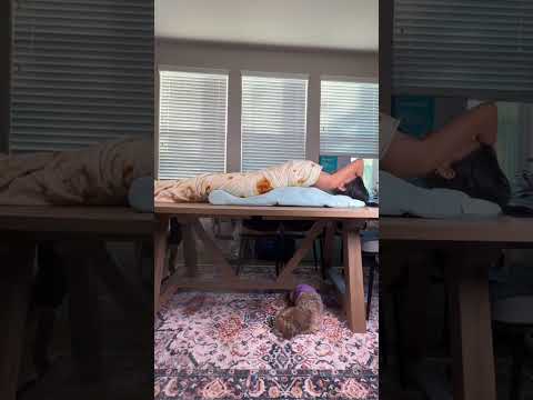 For those who live for massages… this heated back stretching mat feels like your personal spa day at