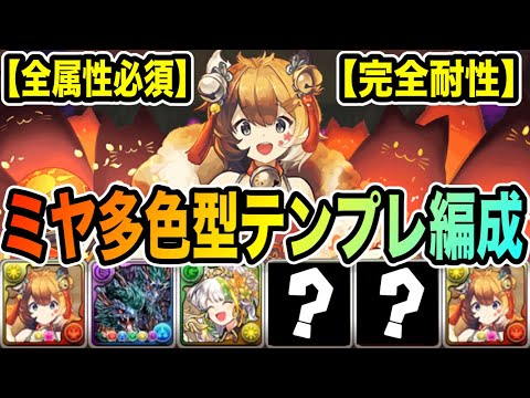 【多色型】高雅鍵の勇者"ミヤ" 編成例！完全耐性で初ターン変身可能！【パズドラ】【5月のチャレ10全属性必須】
