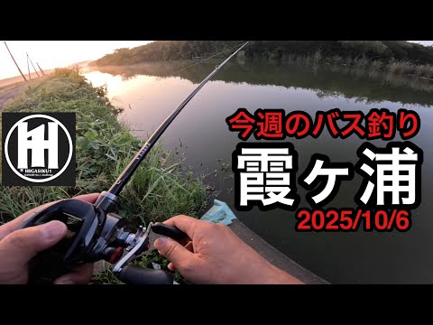 バス釣り今週の霞ヶ浦！2025年10月6日