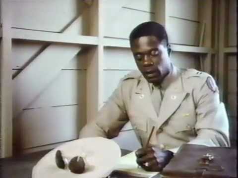 A Soldier's Story'