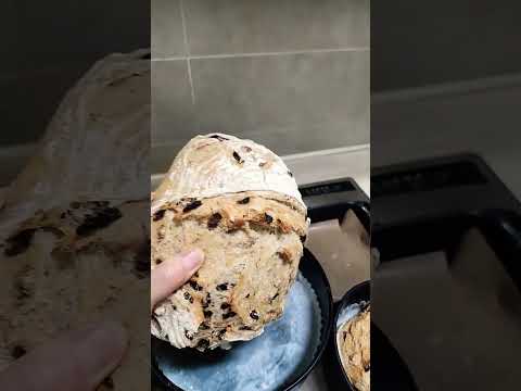 #홈베이킹 #깜빠뉴 #시골빵 #장발장빵 #T65 #T55 #앉은뱅이통밀가루 #호밀 #물 #꿀 #이스트 #소금 #건포도 #구운호두 #초콜릿 #Pain de Campagne #230도