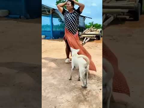 #timelapse Star to finish alone build log cabin (wooden house) how to build wooden cabin surviva