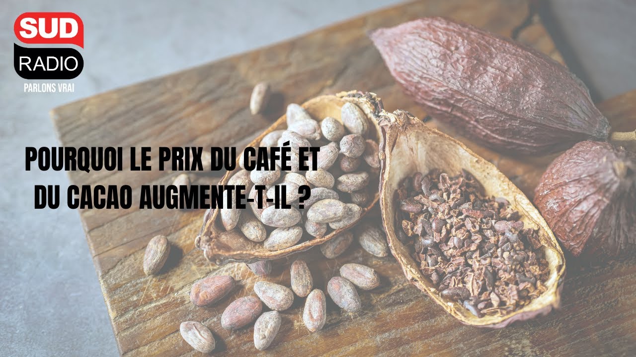 Pourquoi le prix du café et du cacao augmente-t-il depuis quelques mois ?