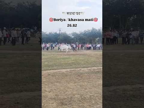 बोरिया & खावासा माडी.(सटवा पट).26.82 सेकंड..#bailgada #cow #bailgadapremi