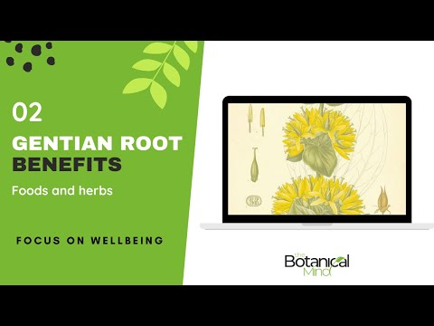 The Botanical Mind