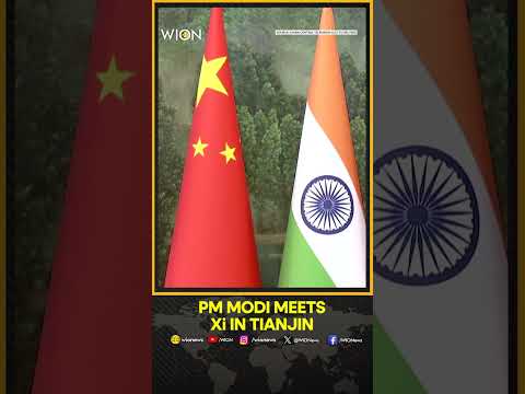 PM Modi, Xi Jinping Hold Fruitful Talks On Strengthening India-China Relations | WION Shorts