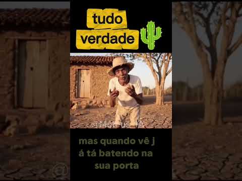 tudo verdade #ia #comedia #shorts #humor #memes #sertão #viral