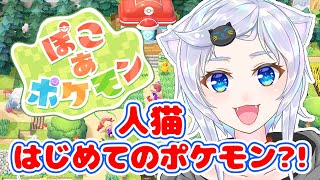【ぽこ あ ポケモン】人猫、ポケセンを直す【ぽこポケ】