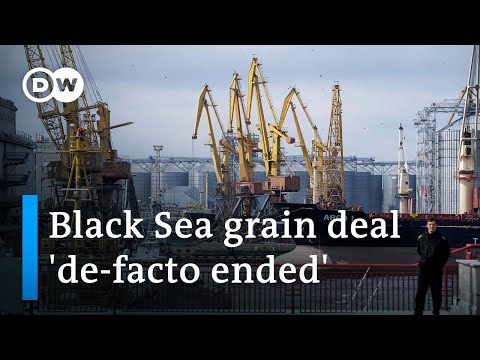 Russia halts grain deal, putting global food security at risk | DW News