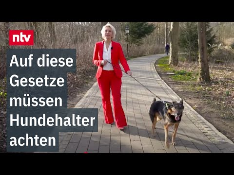 Hundehalter - Auf diese Gesetze müssen sie achten - Von Leinenpflicht bis Haftung
