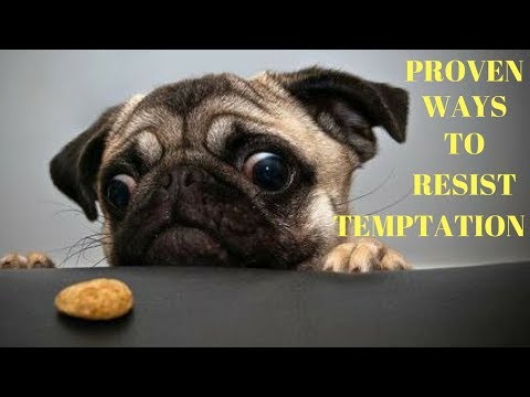 Ways To Resist Temptation