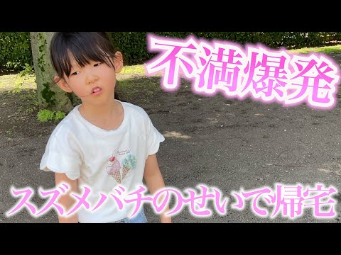 スズメバチのせいで公園で遊べなくて不満な５歳娘