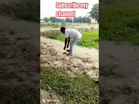 দুখা দিয়ে নিলো #funny #viralshort #todaybestvideochallenge